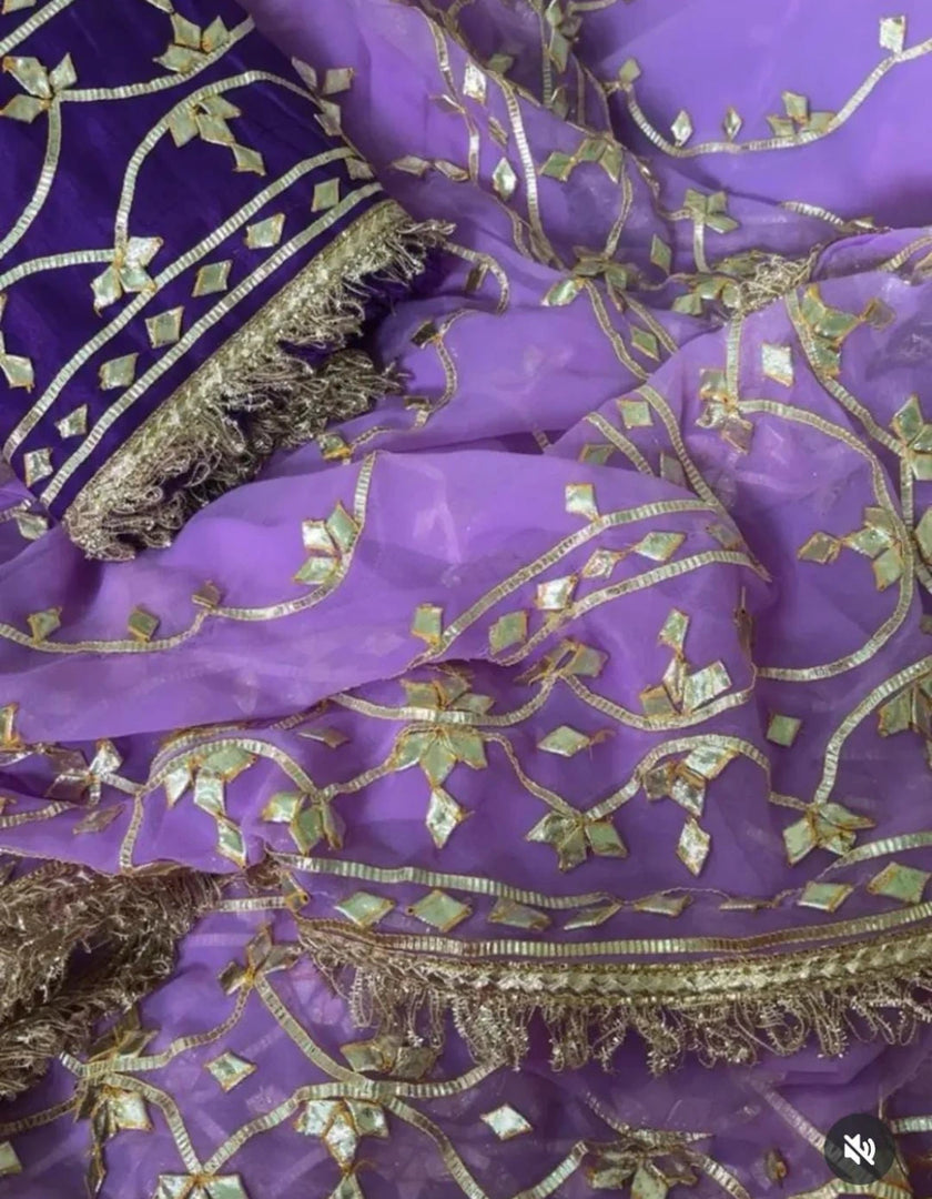 Pure Diamond Chiffon Rajwada Saree with Heavy Kaccha Gota Jaal & Sabyasachi Style Border