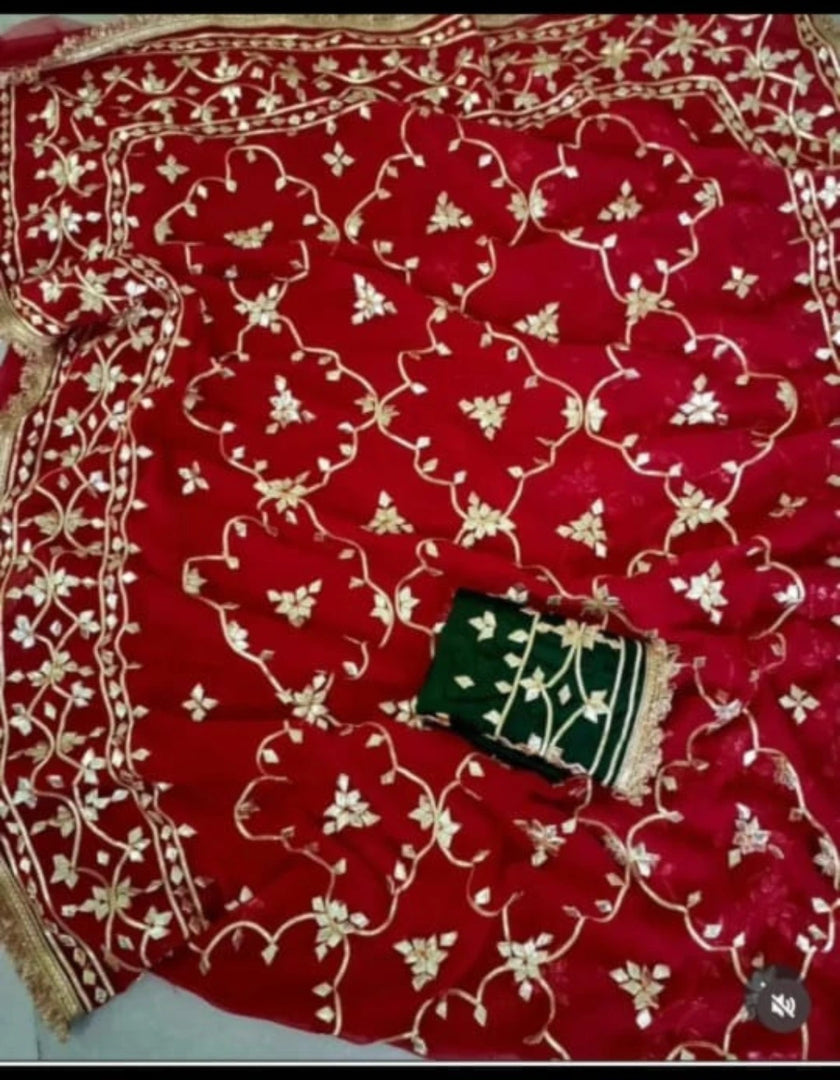 Pure Diamond Chiffon Rajwada Saree with Heavy Kaccha Gota Jaal & Sabyasachi Style Border